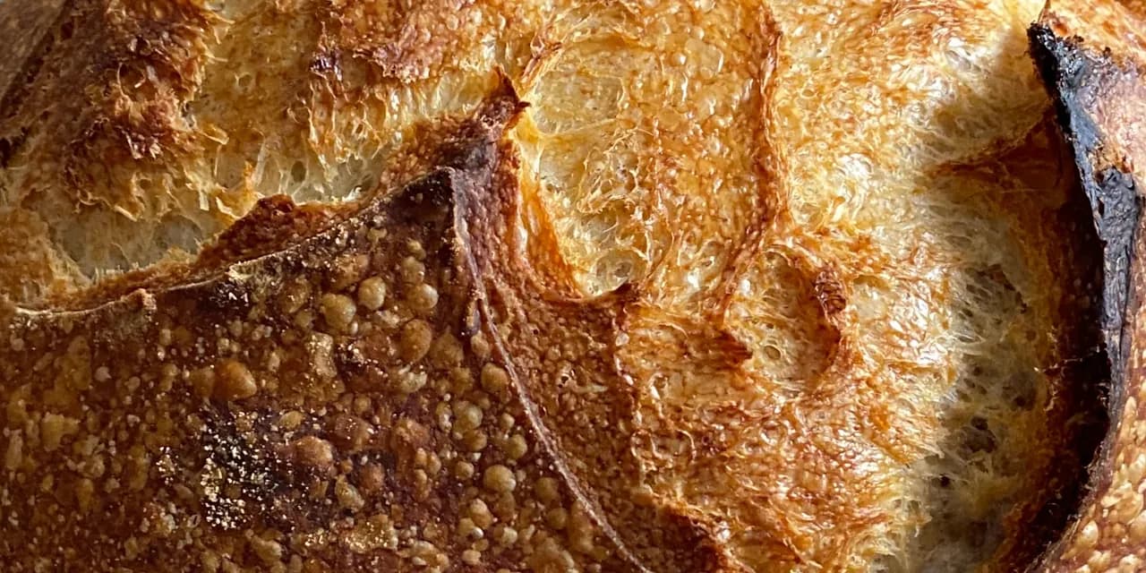 Fresh baked sourdough bread crust